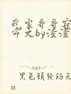 我家哥哥宠妹如命文by渣渣兔免费阅读