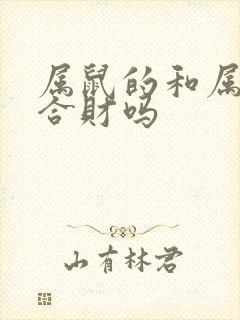 属鼠的和属龙的合财吗