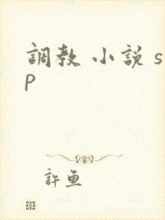 调教 小说 sp