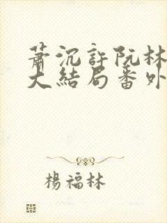 萧沉许阮林依然大结局番外