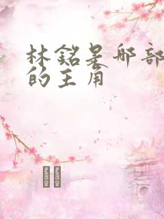 林铭是哪部小说的主角