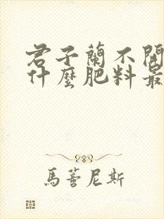 君子兰不开花施什么肥料最好