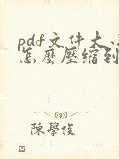 pdf文件大小怎么压缩到20m以内