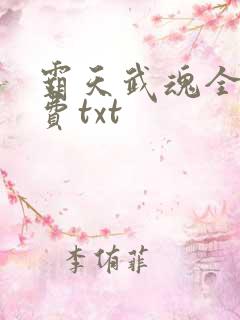 霸天武魂全文免费txt