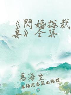 《闪婚总裁契约妻》全集