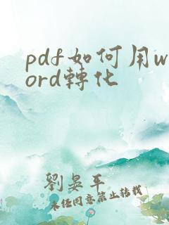 pdf如何用word转化