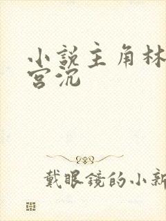 小说主角林知意宫沉