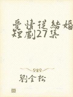 爱情从结婚开始短剧27集