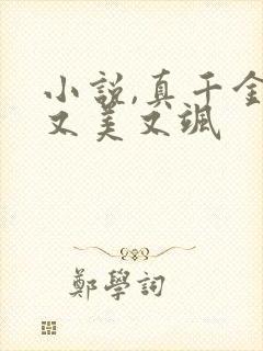 小说,真千金她又美又飒