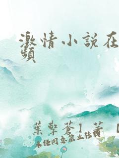 激情小说在线视频