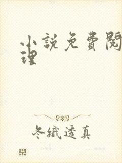 小说免费阅读伦理