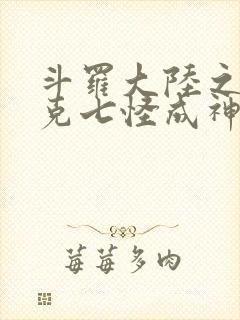 斗罗大陆之史莱克七怪成神之路