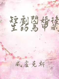 短剧闪婚后傅先生的马甲藏不住