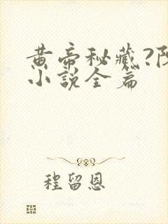 黄帝秘藏?陈启小说全篇