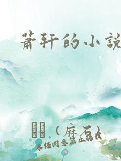 萧轩的小说