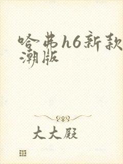 哈弗h6新款国潮版