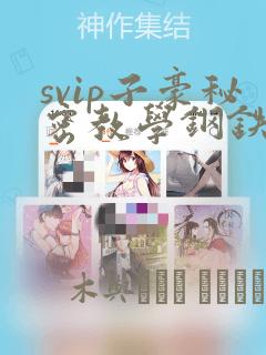 svip子豪秘密教学钢铁网