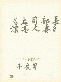 《上司部长出轨漂亮人妻》中字