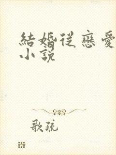 结婚从恋爱开始小说