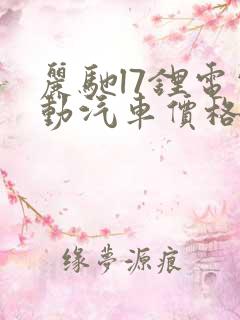 丽驰l7锂电电动汽车价格多少