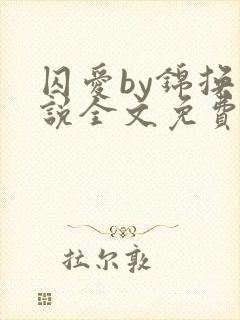 囚爱by锦换小说全文免费阅读