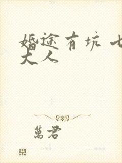 婚途有坑 七夜大人