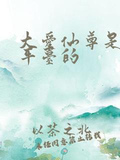 大爱仙尊是哪个平台的