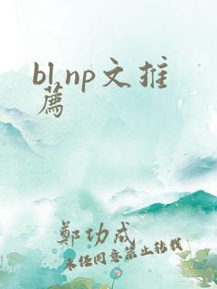 bl np文推荐