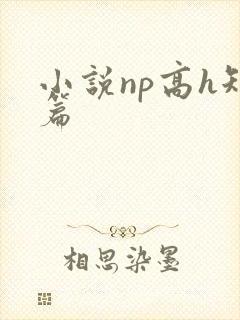 小说np高h短篇