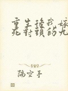 重生后我嫁给了死对头的九叔