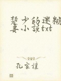 楚少的迷糊小娇妻小说txt