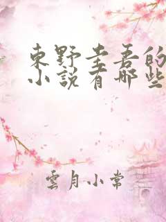 东野圭吾的长篇小说有哪些