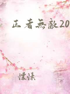 正者无敌20集