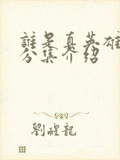 谁是真英雄剧情分集介绍