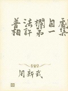 普法栏目剧以身相许第一集方圆剧阵