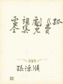 电视剧《孤战》全集免费