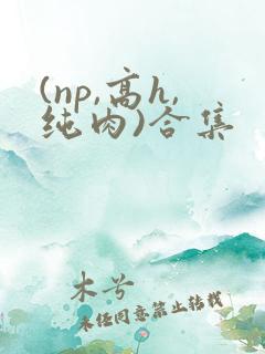 (np,高h,纯肉)合集