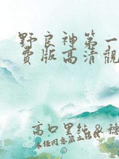 野良神第一季免费版高清观看