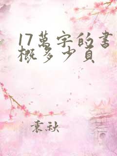 17万字的书大概多少页