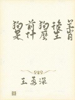 狗前狗后羊出特是什么生肖
