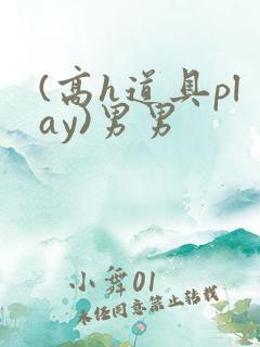 (高h道具play)男男