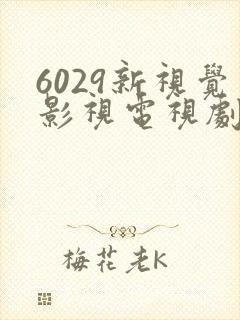 6029新视觉影视电视剧在线观看最新版