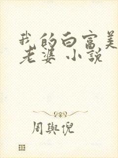 我的白富美总裁老婆 小说