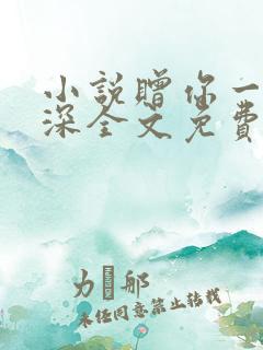 小说赠你一世情深全文免费阅读