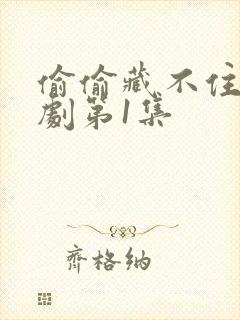 偷偷藏不住电视剧第1集
