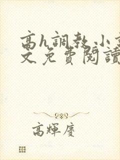高h调教小说全文免费阅读