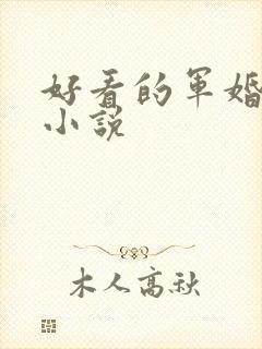 好看的军婚重生小说