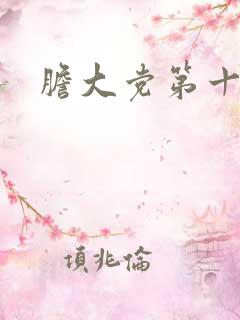胆大党第十二集