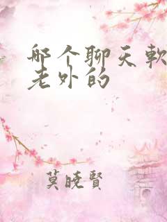 哪个聊天软件有老外的