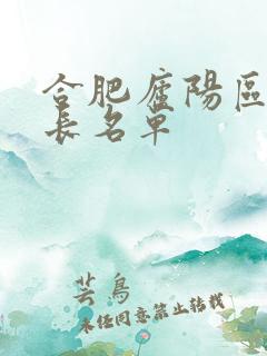 合肥庐阳区副区长名单